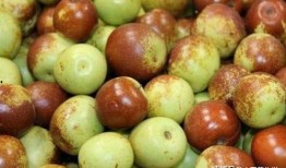 冬枣储存爆料方法视频教程,视频教程教你轻松延长保鲜期